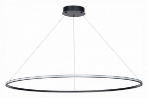 Подвесной светильник ST-Luce ST604 OUT ST604.443.46 в Озерске - ozersk.mebel24.online | фото 2