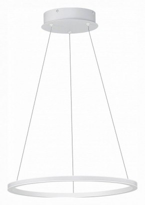 Подвесной светильник ST-Luce ST604 OUT ST604.543.22 в Озерске - ozersk.mebel24.online | фото 2