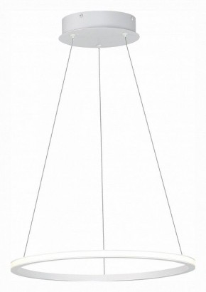 Подвесной светильник ST-Luce ST604 OUT ST604.543.22 в Озерске - ozersk.mebel24.online | фото 3