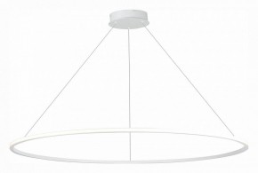 Подвесной светильник ST-Luce ST604 OUT ST604.543.46 в Озерске - ozersk.mebel24.online | фото 3