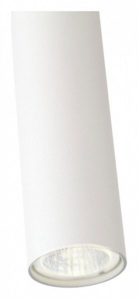 Подвесной светильник ST-Luce Tuore SL1592.503.01 в Озерске - ozersk.mebel24.online | фото 11