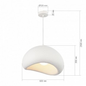Подвесной светильник ST-Luce WABI SABI SL1522.513.01 в Озерске - ozersk.mebel24.online | фото 5