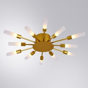 Потолочная люстра Arte Lamp Maple A1276PL-12GO в Озерске - ozersk.mebel24.online | фото 1
