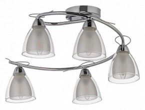 Потолочная люстра Arti Lampadari Paola, Tavenna Nickel Paola E 1.1.5 N в Озерске - ozersk.mebel24.online | фото