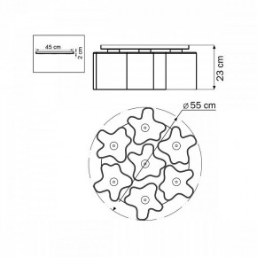 Потолочная люстра Lightstar Nubi 802070 в Озерске - ozersk.mebel24.online | фото 6