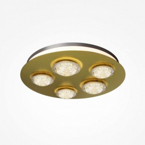 Потолочная люстра Maytoni Pharao MOD361CL-L58BS3K в Озерске - ozersk.mebel24.online | фото