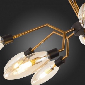 Потолочная люстра ST-Luce Desima SL1174.303.12 в Озерске - ozersk.mebel24.online | фото 10
