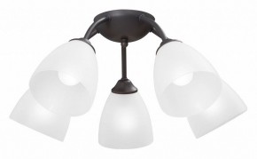 Потолочная люстра Vitaluce V3184 V3737-2/5PL в Озерске - ozersk.mebel24.online | фото