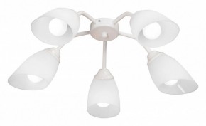 Потолочная люстра Vitaluce V31950 V31950/5PL в Озерске - ozersk.mebel24.online | фото