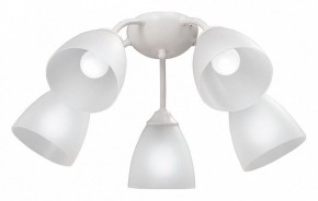 Потолочная люстра Vitaluce V3737 V3737-0/5PL в Озерске - ozersk.mebel24.online | фото