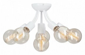 Потолочная люстра Vitaluce V3927 V3927-0/6PL в Озерске - ozersk.mebel24.online | фото