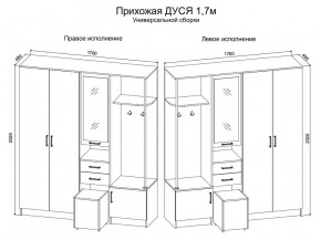 Прихожая Дуся 1.7 УНИ (Дуб Бунратти/Белый Бриллиант) в Озерске - ozersk.mebel24.online | фото 2