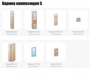 Прихожая Карина (модульная) в Озерске - ozersk.mebel24.online | фото 2