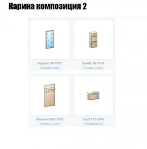 Прихожая Карина (модульная) в Озерске - ozersk.mebel24.online | фото 6