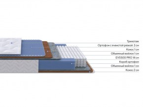 PROxSON Матрас Active Duo M/F (Ткань Трикотаж Эко) 90x200 в Озерске - ozersk.mebel24.online | фото 2