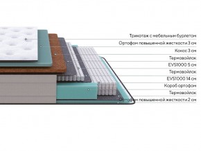 PROxSON Матрас Elysium Firm (Трикотаж Spiral-RT) 80x200 в Озерске - ozersk.mebel24.online | фото 2