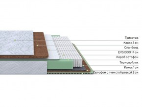 PROxSON Матрас Green Duo M/F (Tricotage Dream) 80x190 в Озерске - ozersk.mebel24.online | фото 2