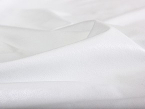 PROxSON Защитный чехол Aqua Stop (Ткань влагостойкая Terry Cloth) 160x200 в Озерске - ozersk.mebel24.online | фото 5