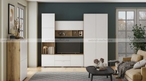 МИЛАН-1 Секция ТВ (ЦРК.МЛН.01 секция ТВ) в Озерске - ozersk.mebel24.online | фото 3