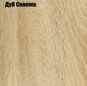 ЧЕЛСИ Шкаф 2-х створчатый (2УПК) комбинированный в Озерске - ozersk.mebel24.online | фото 4