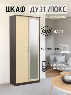 Шкаф 2-х створчатый Дуэт Люкс с зеркалом в Озерске - ozersk.mebel24.online | фото