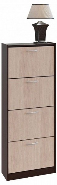 Шкаф для обуви ТО-24 в Озерске - ozersk.mebel24.online | фото