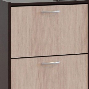 Шкаф для обуви ТО-24 в Озерске - ozersk.mebel24.online | фото 4