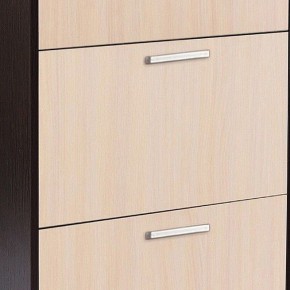 Шкаф для обуви УК-4 в Озерске - ozersk.mebel24.online | фото 2