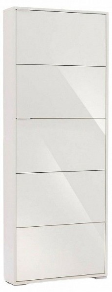 Шкаф для обуви Viva-5S в Озерске - ozersk.mebel24.online | фото