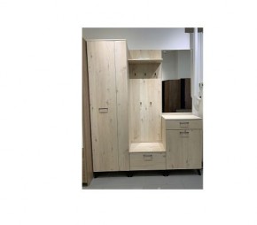 Шкаф для одежды 2-х дверный София 1 в Озерске - ozersk.mebel24.online | фото 6