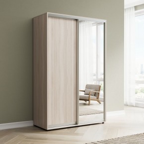 Шкаф-купе Акцент-Сим ДЗ 1000-600 в Озерске - ozersk.mebel24.online | фото 6