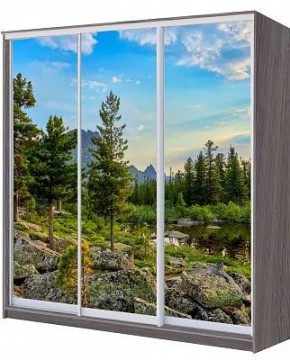 Шкаф-купе ХИТ 22-20/2-777 ПРИРОДА в Озерске - ozersk.mebel24.online | фото