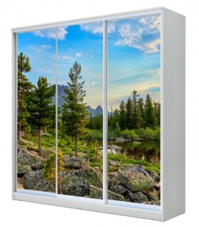 Шкаф-купе ХИТ 22-4-18-777 ПРИРОДА в Озерске - ozersk.mebel24.online | фото