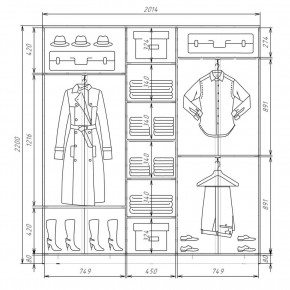 Шкаф-купе ХИТ 22-4-20-111 (420) в Озерске - ozersk.mebel24.online | фото 2