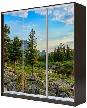 Шкаф-купе ХИТ 23-18/2-777 ПРИРОДА в Озерске - ozersk.mebel24.online | фото