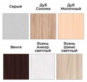 Шкаф-купе ХИТ 23-4-12/2-88 (420) в Озерске - ozersk.mebel24.online | фото 3
