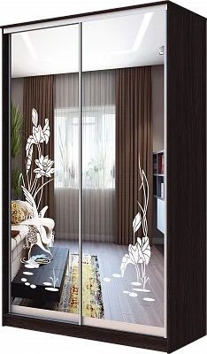 Шкаф-купе ХИТ 23-4-12-66 ЦАПЛИ в Озерске - ozersk.mebel24.online | фото