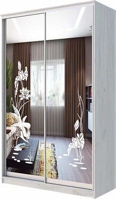 Шкаф-купе ХИТ 24-14-66 ЦАПЛИ в Озерске - ozersk.mebel24.online | фото