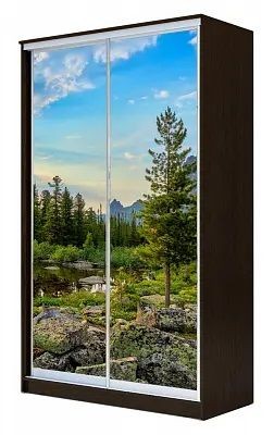 Шкаф-купе ХИТ 24-14-77 ПРИРОДА в Озерске - ozersk.mebel24.online | фото