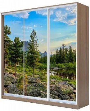 Шкаф-купе ХИТ 24-18-777 ПРИРОДА в Озерске - ozersk.mebel24.online | фото