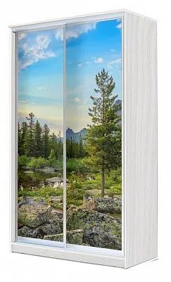 Шкаф-купе ХИТ 24-4-15-77 ПРИРОДА в Озерске - ozersk.mebel24.online | фото