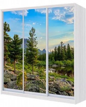 Шкаф-купе ХИТ 24-4-18-777 ПРИРОДА в Озерске - ozersk.mebel24.online | фото