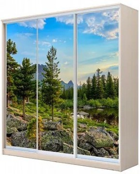 Шкаф-купе ХИТ 24-4-20-777 ПРИРОДА в Озерске - ozersk.mebel24.online | фото