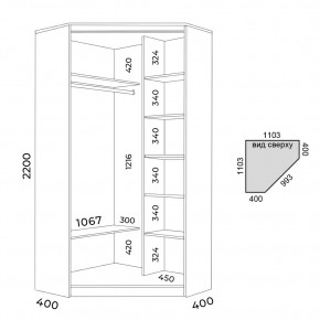 Шкаф-купе ХИТ-У-22-4-55 в Озерске - ozersk.mebel24.online | фото 2