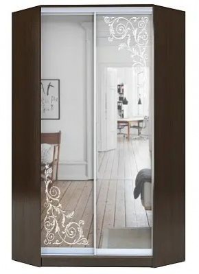 Шкаф-купе ХИТ-У-22-4-66 ОРНАМЕНТ в Озерске - ozersk.mebel24.online | фото