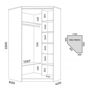 Шкаф-купе ХИТ-У-L-22-64-11 в Озерске - ozersk.mebel24.online | фото 3