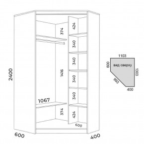Шкаф-купе ХИТ-У-R-24-64-15 в Озерске - ozersk.mebel24.online | фото 3