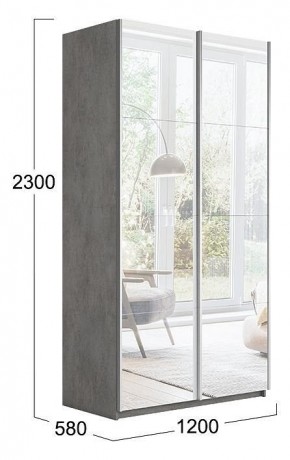 Шкаф-купе Траст СШК 2.120.60-13.13 в Озерске - ozersk.mebel24.online | фото 3