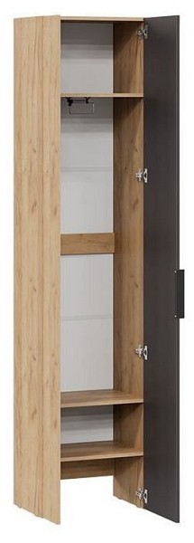 Шкаф платяной Асти в Озерске - ozersk.mebel24.online | фото 2