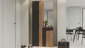 Шкаф платяной Асти в Озерске - ozersk.mebel24.online | фото 5